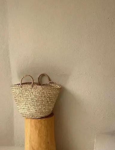 Daire Estudio L'oliveta By Lohodihomes *